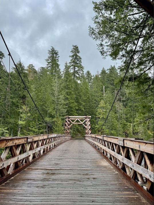 A wooden suspension bridge extends into a forest, with cloudy skies above.