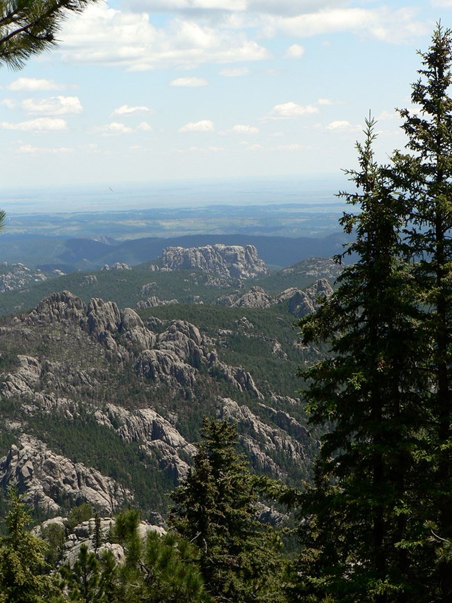 View of Mount Rushmore from behind with the plains in the distance.