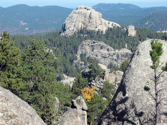 A large, dome-shaped granite outcrop with smaller granite outcrops in the foreground are surrounded by ponderosa pine trees.  Tree-covered mountains are also visible in the background.