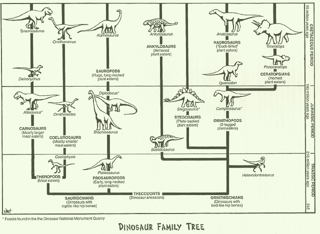 The Dinosaur Family Tree! - graphic -