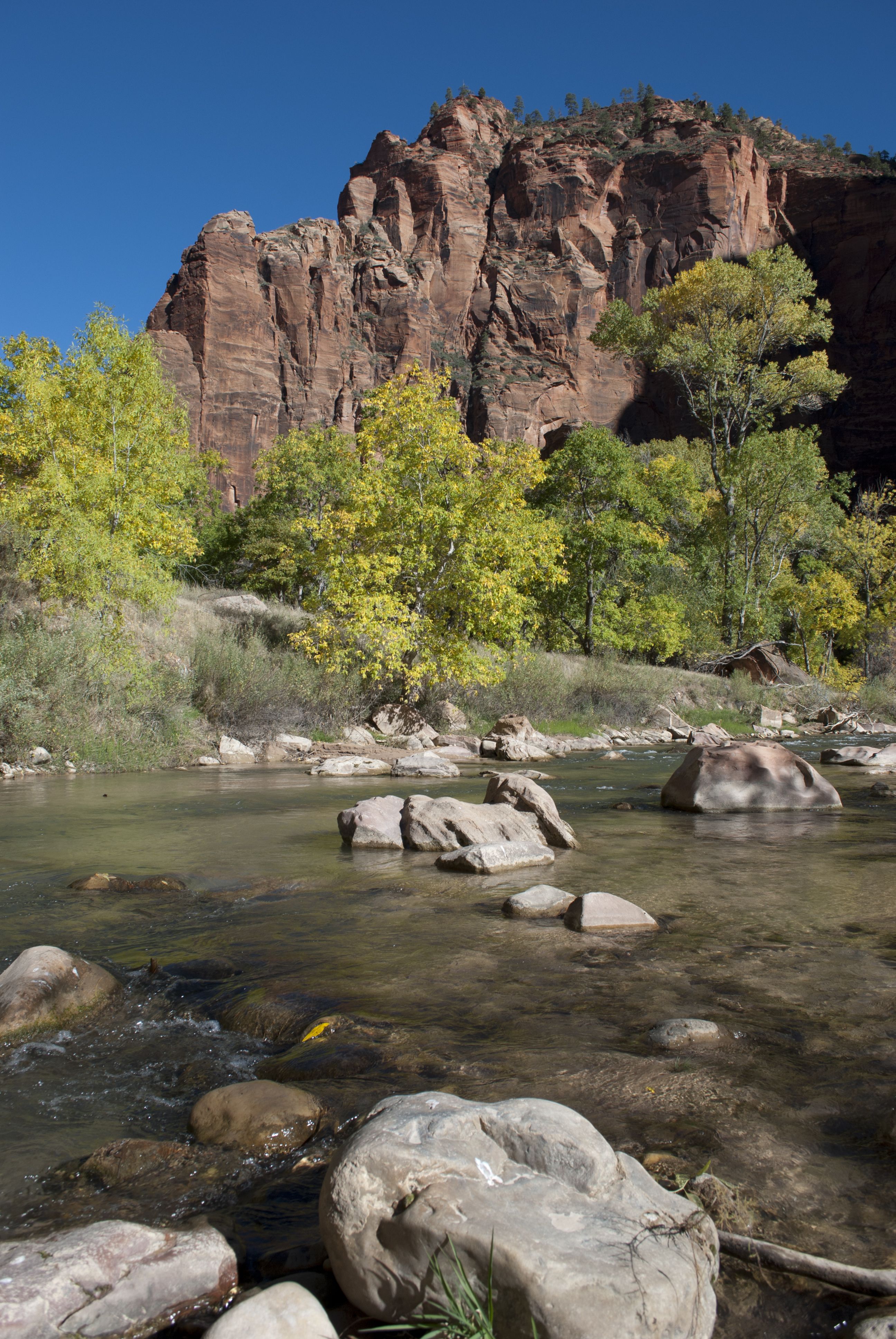 Virgin River