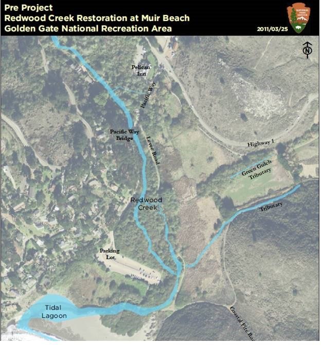 Aerial map of Muir Beach before restoration construction in 2009. Muir Beach parking lot, levee, and Pacific Way Bridge are labelled.