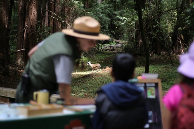 a deer scampers through the forest in the background, while an out-of-focus ranger talks to a visitor in the foreground