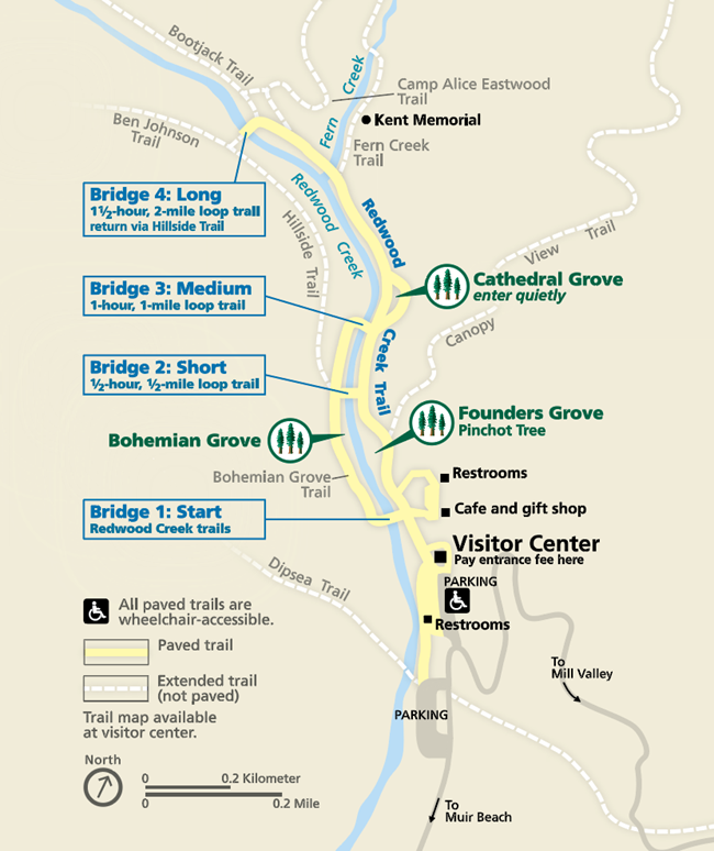 Map of hiking trails and four bridges along Redwood Creek