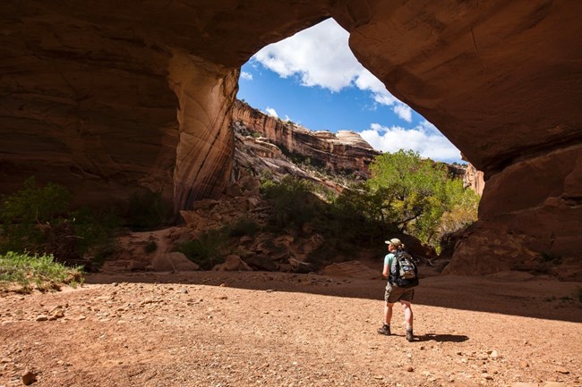 Hiker stands below a large sandstone bridge spanning above a sandy wash and sparse vegetation
