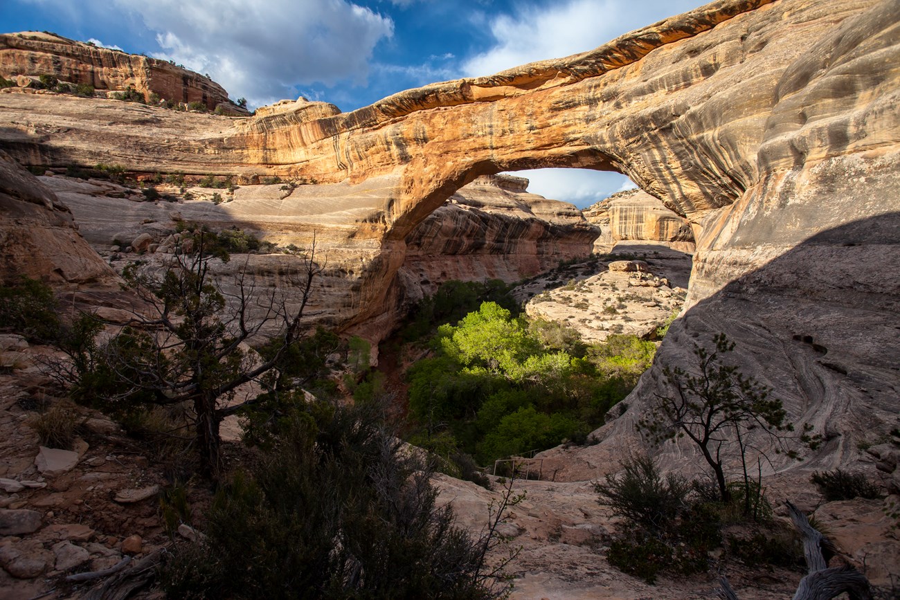 A light brown sandstone bridge spans over a desert landscape with trees and shrubs