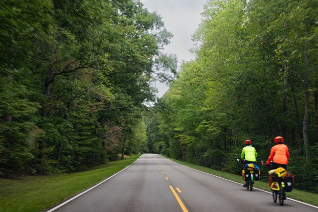 A roadway shaded by lush green trees. Two cyclists ride in the lane wearing bright colored clothing.