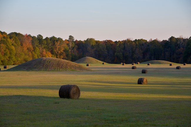Mounds in the grass with bales of hay nearby and forests in the distance.