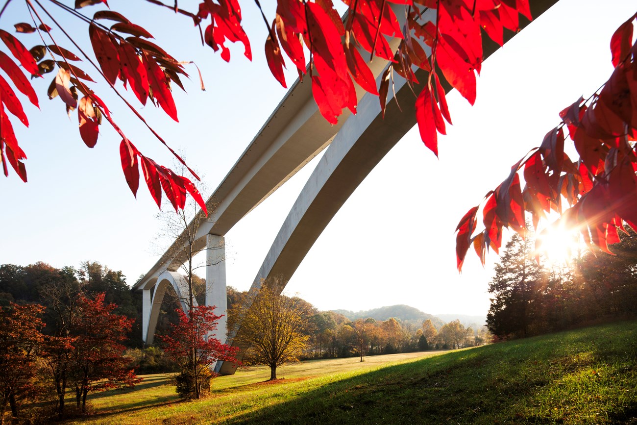 Double Arch Bridge at Birdsong Hollow - Natchez Trace Parkway (U.S ...