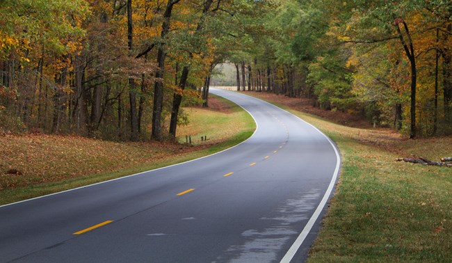 A two lane road with trees in autumn colors lining the entire length.