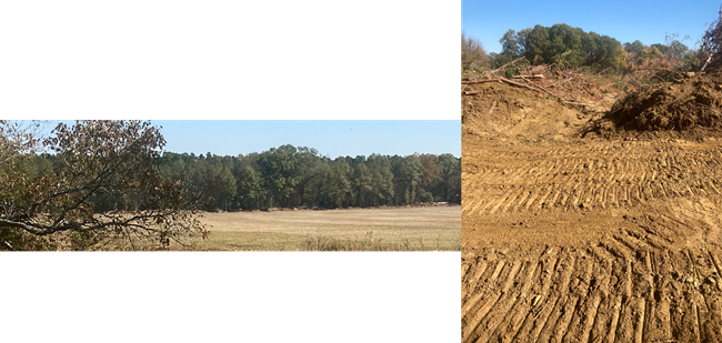 Two images, clear cut area and close up showing bulldozed dirt and piled stumps.