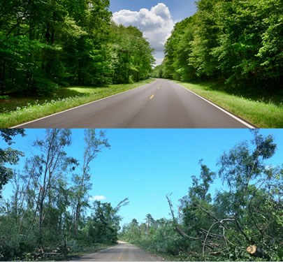 A section of the Natchez Trace Parkway before the storms with large trees, and the same section  after the storms, with only a few trees remaining.