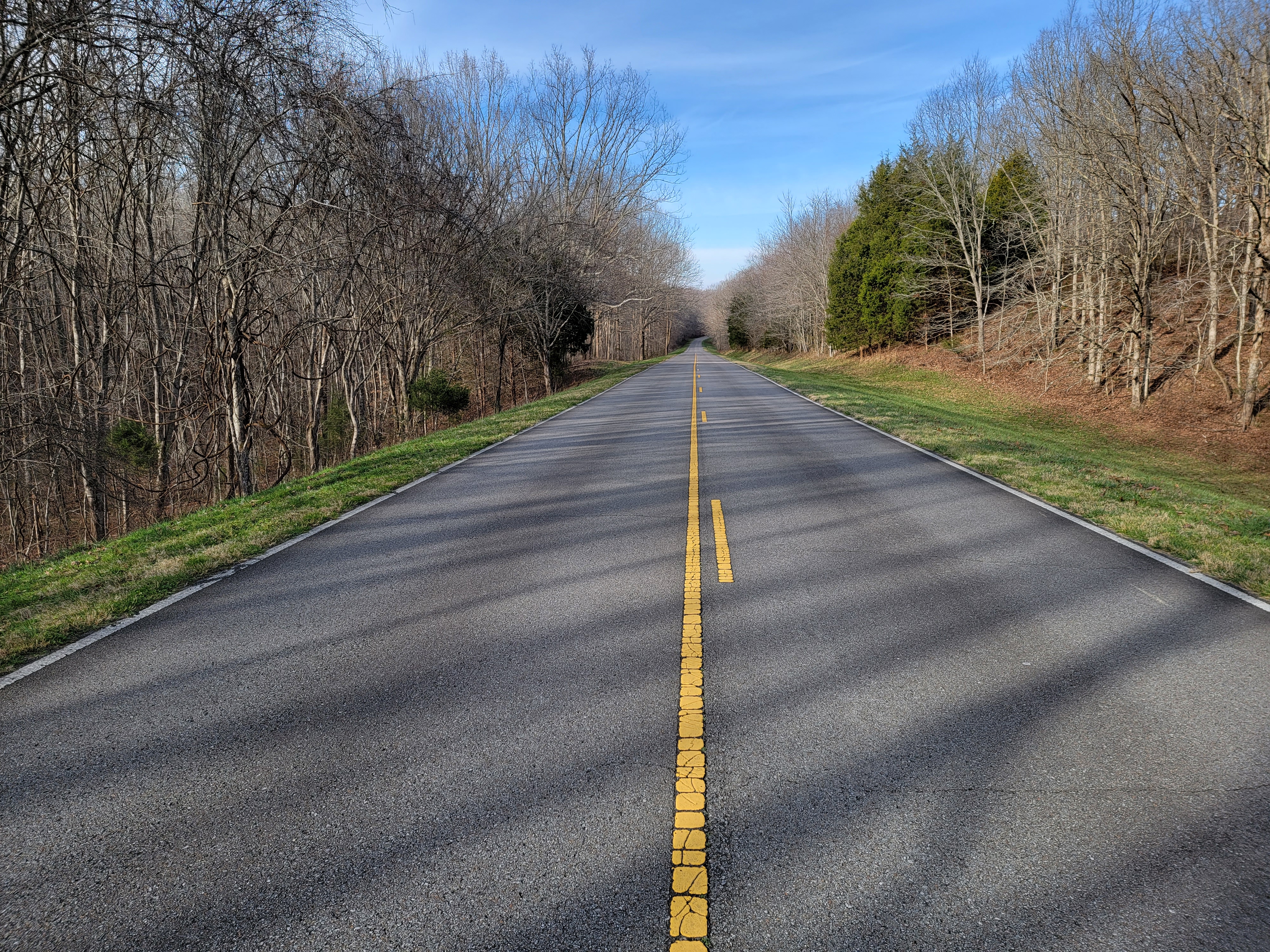 Two lane road lined with trees in winter foliage