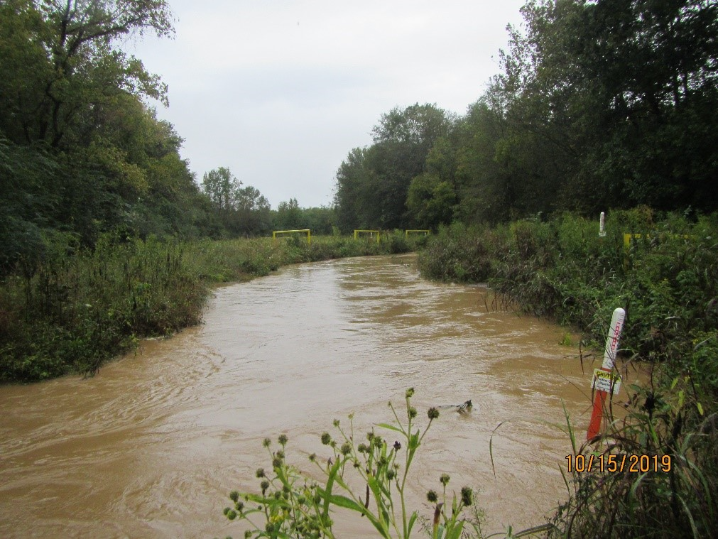 A creek flows through an area with heavy vegetation.