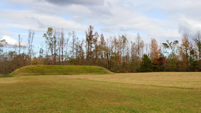 Large grass-covered mound in an open field.