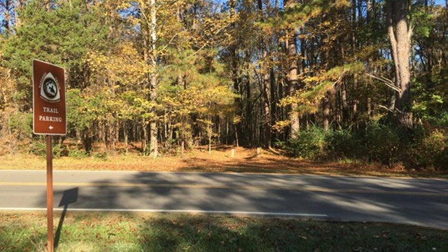 Sign pointing to a trailhead across a road into the forest.