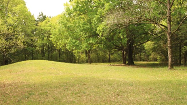 Grassy mound in an open area.