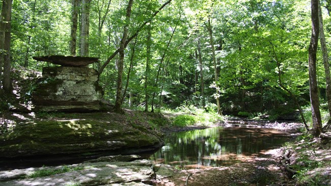 Wooded area with a creek and large boulders.