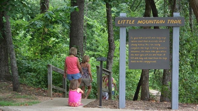 People hiking down the start of a trail that has a set of stairs.
