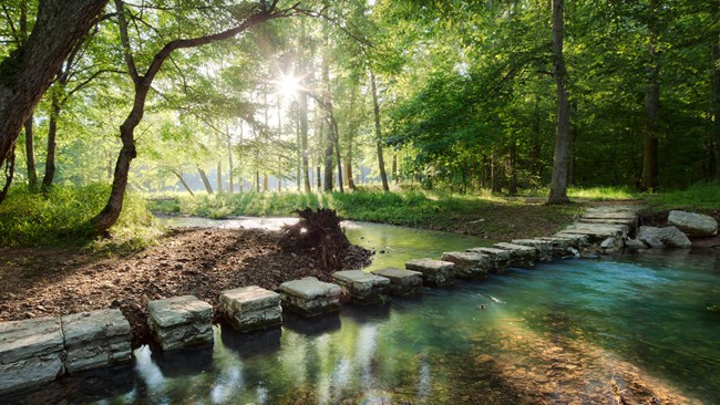 Stone steps crossing a creek.