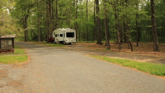 A road through a wooded campground with an RV parked at one of the campsites.