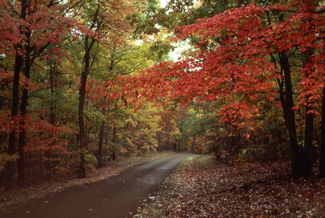 Bright reds and oranges as the trees change on the Natchez Trace Parkway.