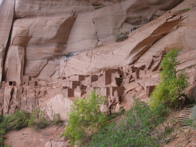Looking up towards cliff dwellings nestled below towering red cliff faces