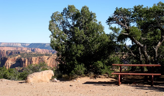 A site at Canyon View Campground.
