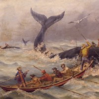 Men in a rowboat try to harpoon a whale on the open ocean.
