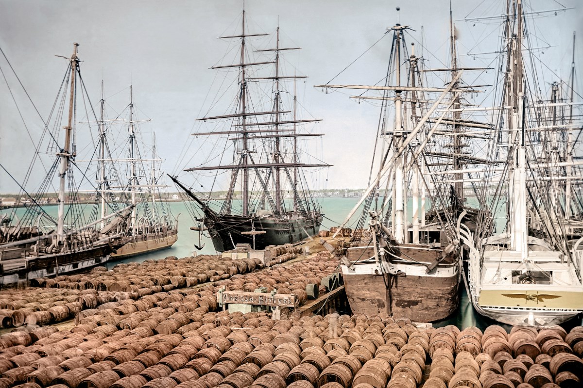 Hundreds of casks of oil unloaded from whaleships.