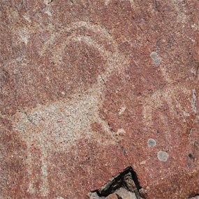 A petrogyplph of a horned animal, possibly a sheep, on a red rock.