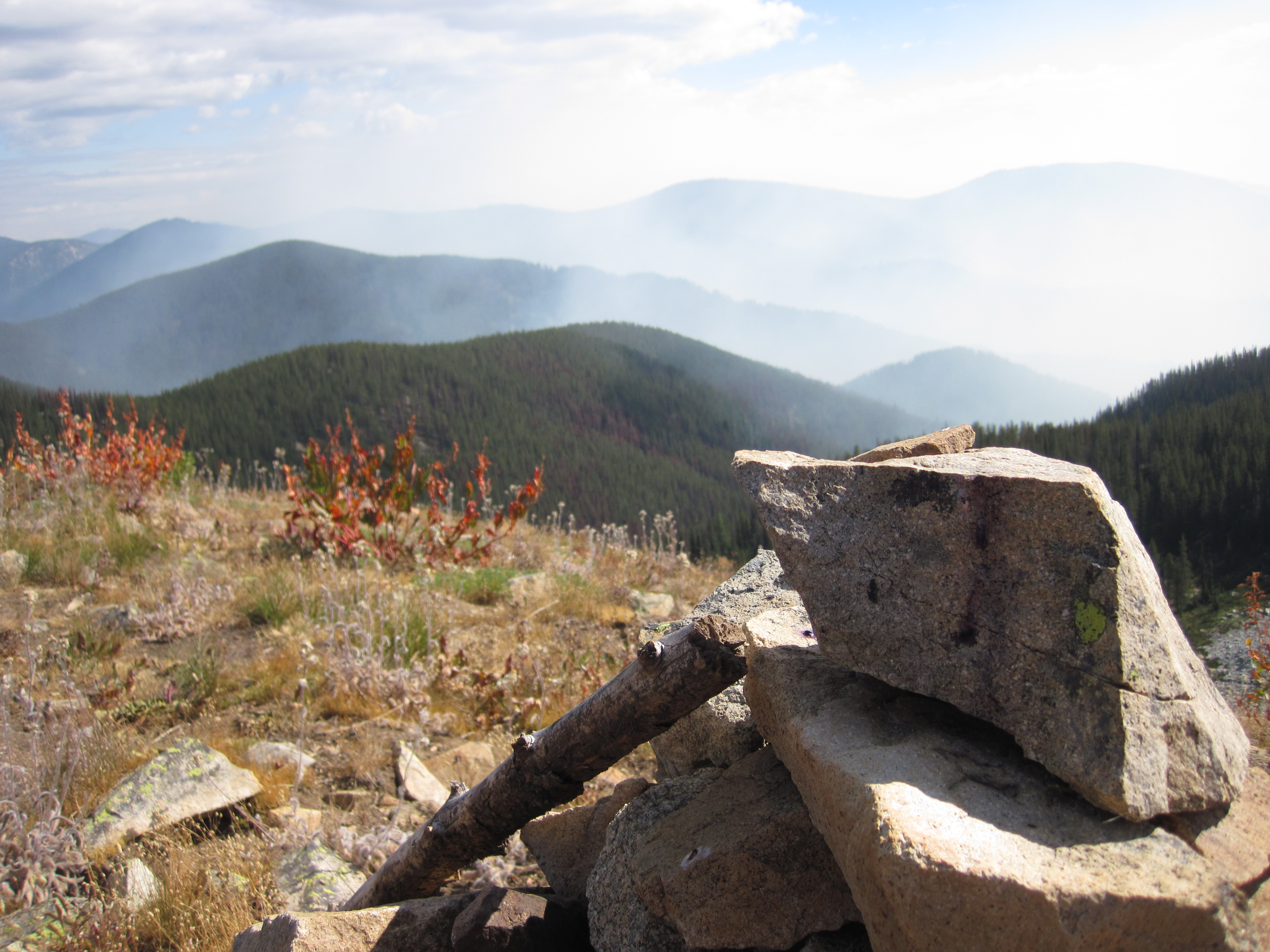 Rocks and a fallen tree branch on a grassy hillside with the mountains in the background.