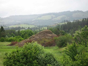 A hill surrounded by green trees
