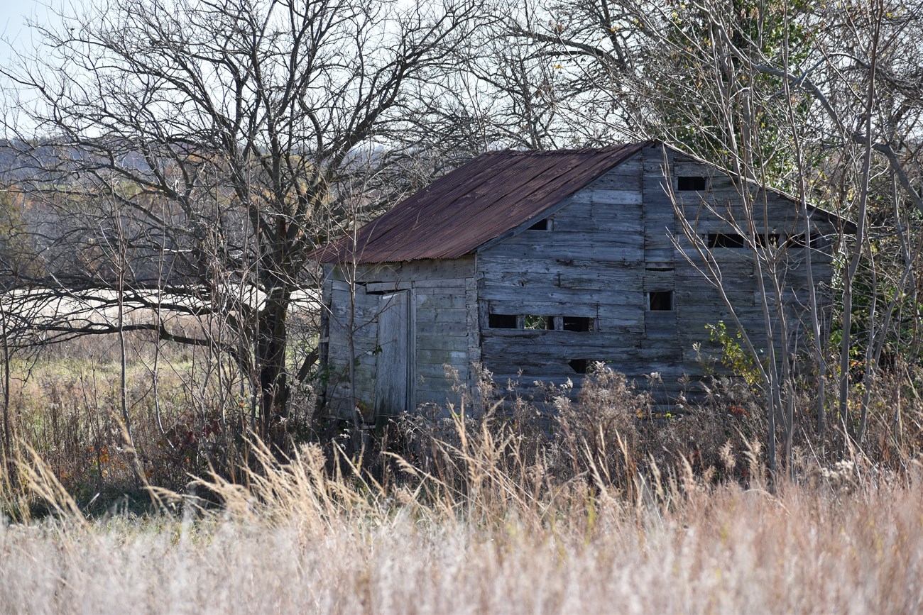 An old wooden shed with rusted metal roof and holes in the wall where the siding has fallen off.