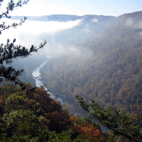 view of the gorge with morning fog