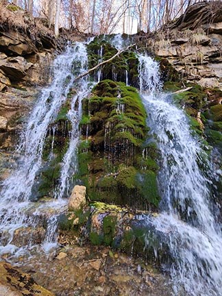 moss covered waterfall