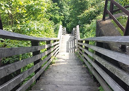 steep wood stairs descend into a steep wooded gorge