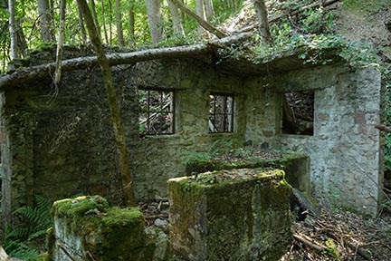 ruins of an old stone building in the forest