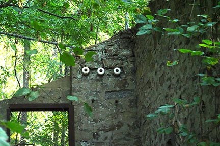 interior of an old stone building in woods