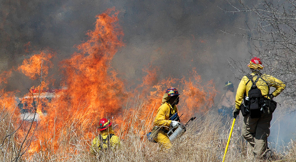 Firefighters working in flames