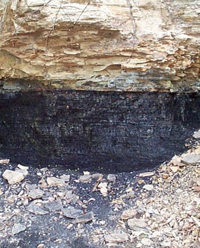 Exposed coal seam along a park trail within the gorge.