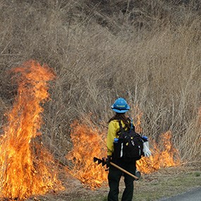 firefighter monitors prescribed burn