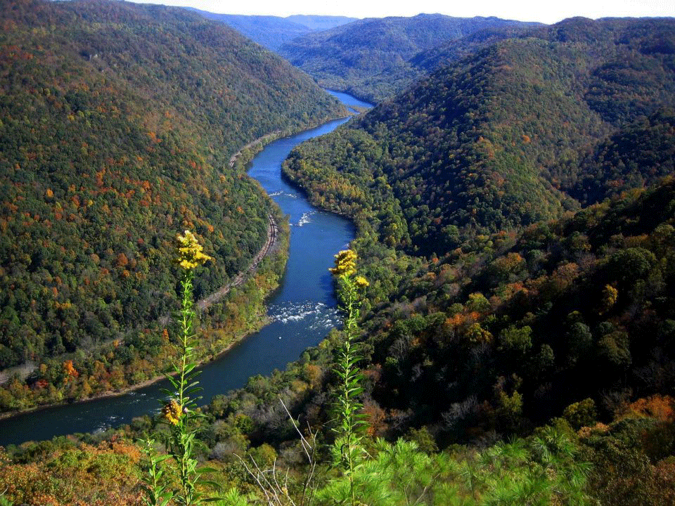 Looking down into the gorge at the New River, sharp green slopes of the gorge rising on either side of the river.