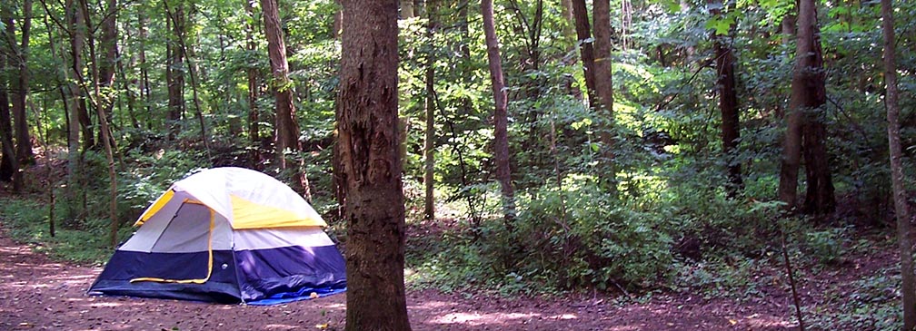 tent in forest