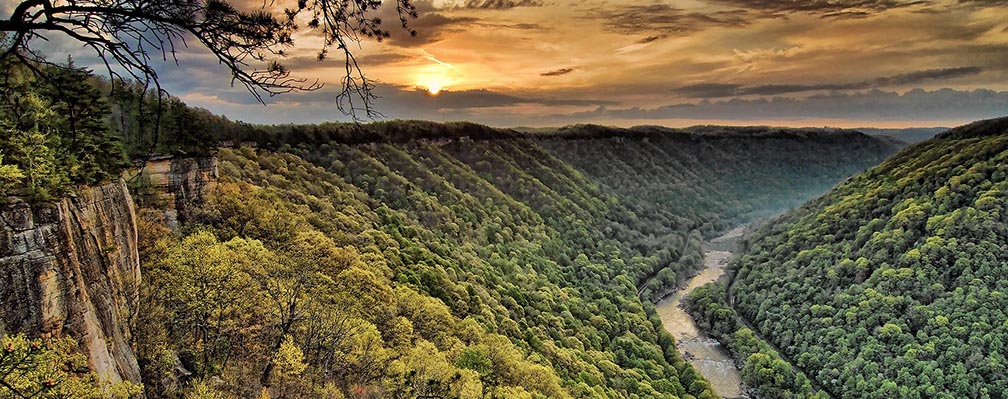 Colored photograph of the New River in a deep, bright green forested gorge. The sun is rising over the mountains in the distance through soft clouds