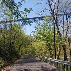 road through forest with a large bridge overhead