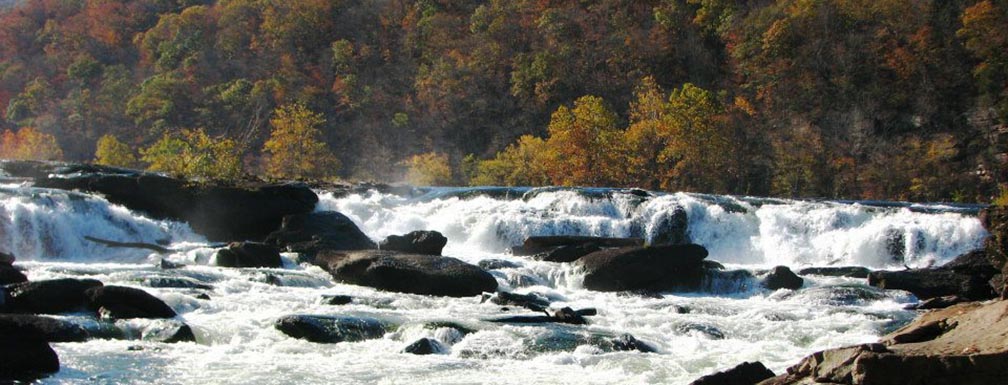 waterfall with fall colors