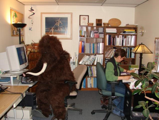 office scene with person in a mammoth costume at a computer