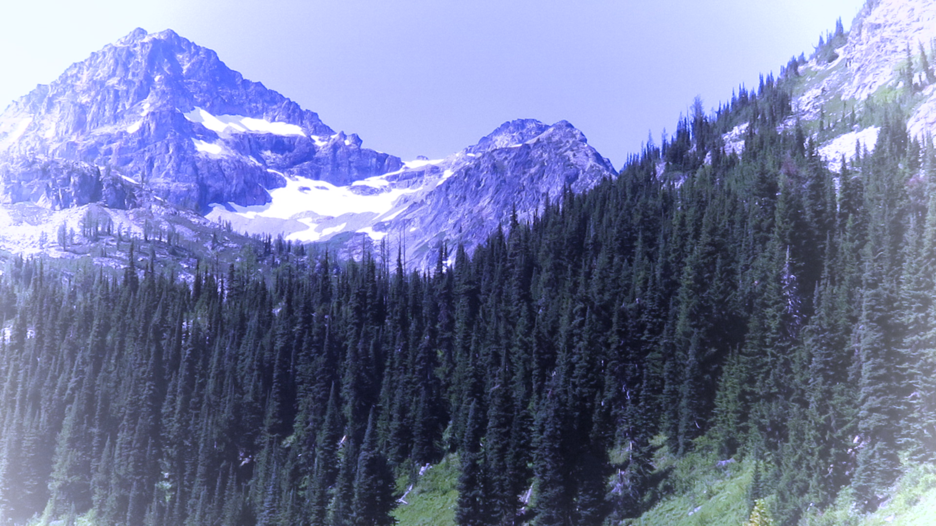 Black Peak from Lewis Lake