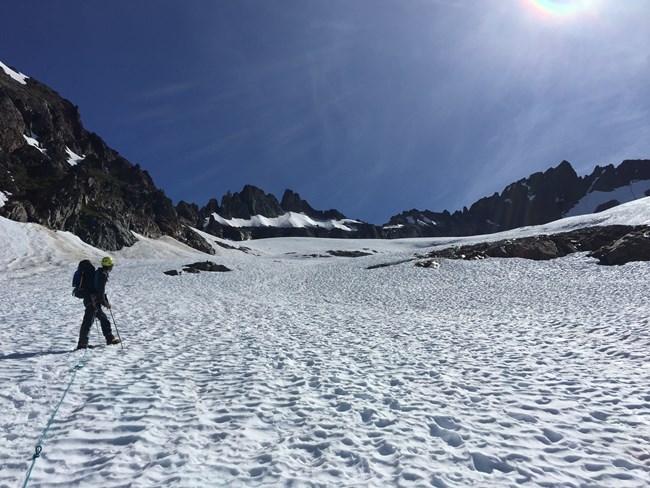 A ranger walking on a snowfiled while on rope